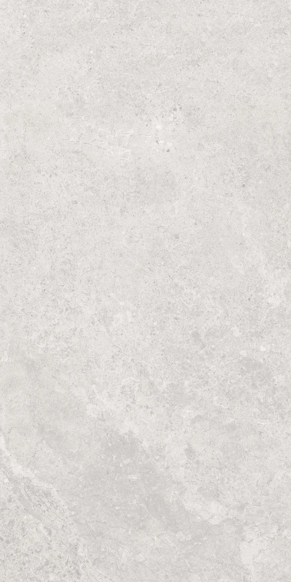 face 6